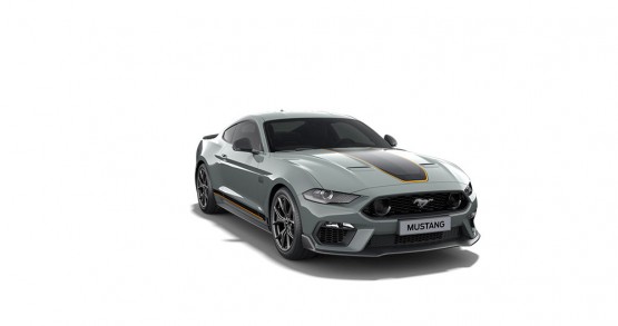 Mustang Fighter Jet Gray