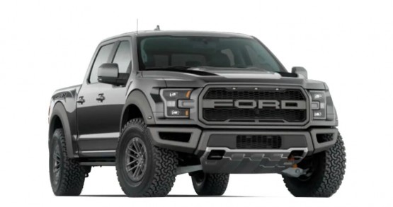 F-150 Raptor Gris Magnetic