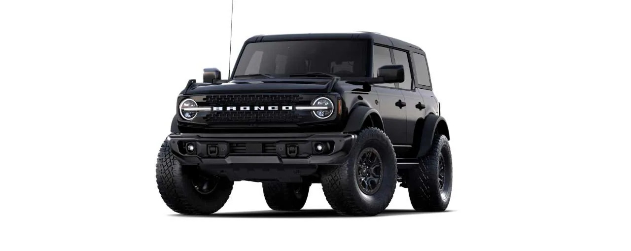 Bronco Negro Pantera