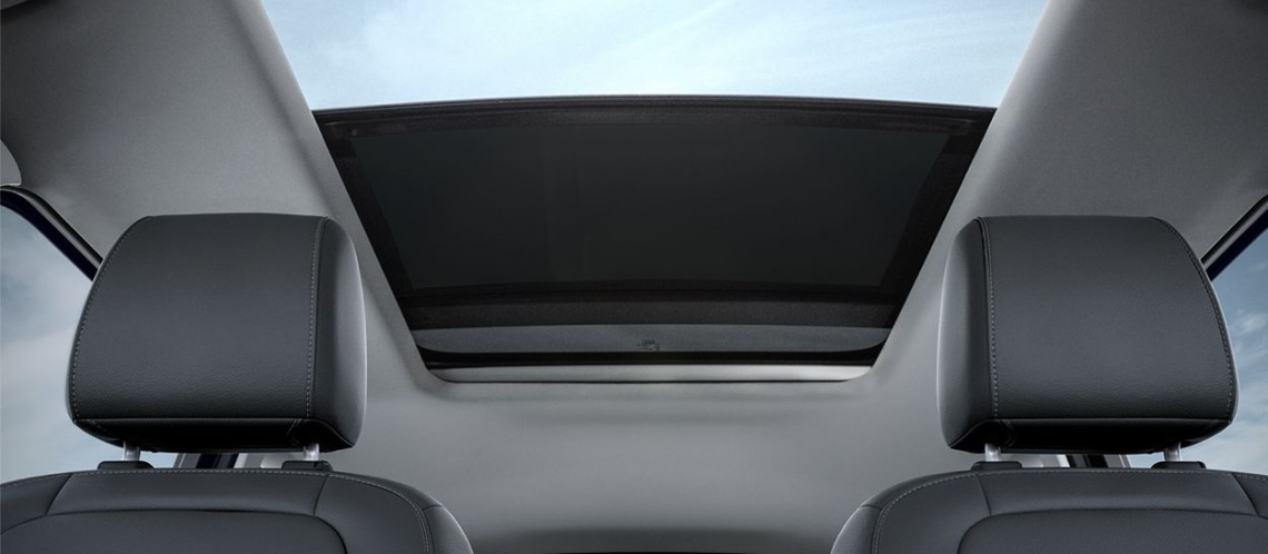 Nueva Kuga