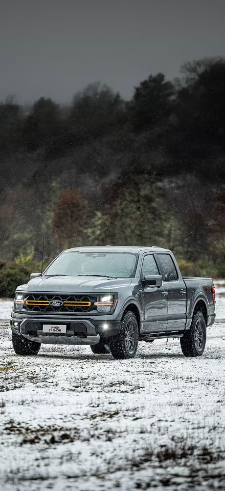Imagen de la Ford F-150 Tremor